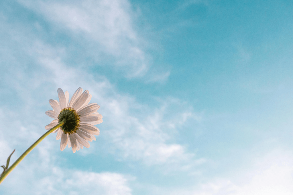 The Vulnerable Place: Unmasked by God’s&nbsp;Presence